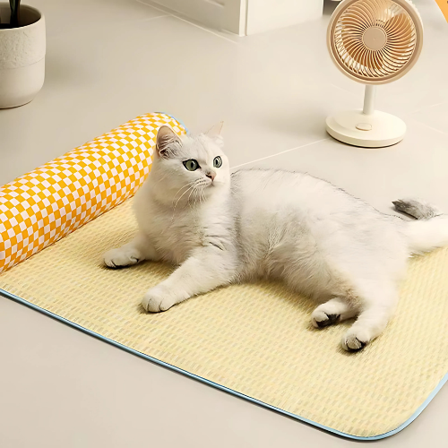 CoolCat ®