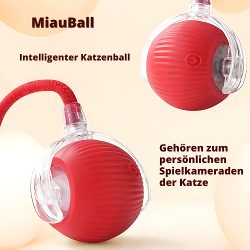 MiauBall ®