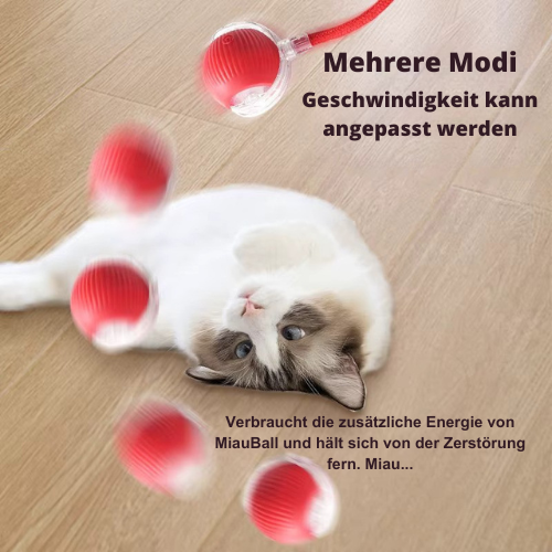 MiauBall ®