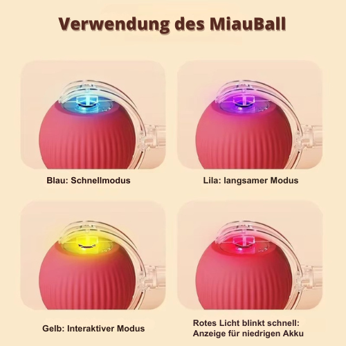 MiauBall ®