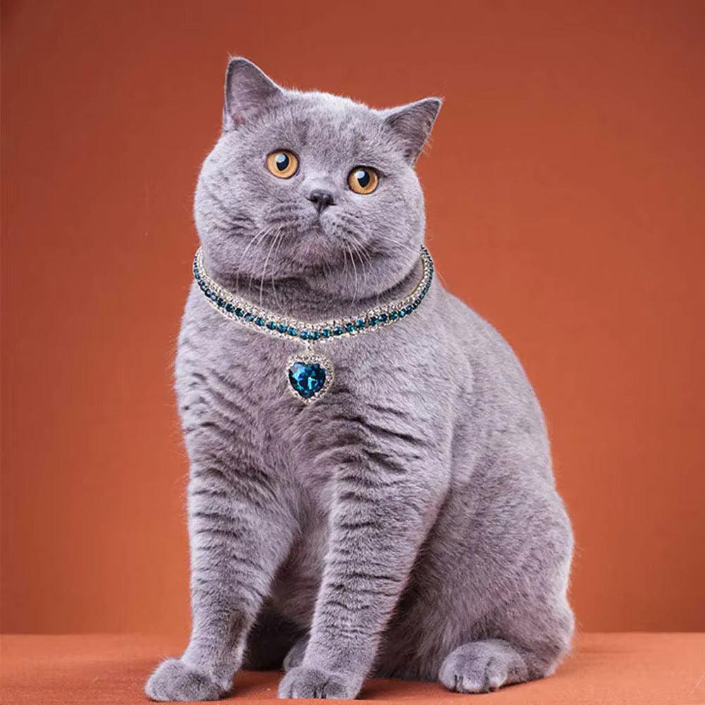 Pet Chain Collar & Sunglasses Set – Stylish & Secure Fit