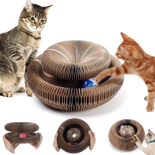 MiezRing™ Katzenspielzeug