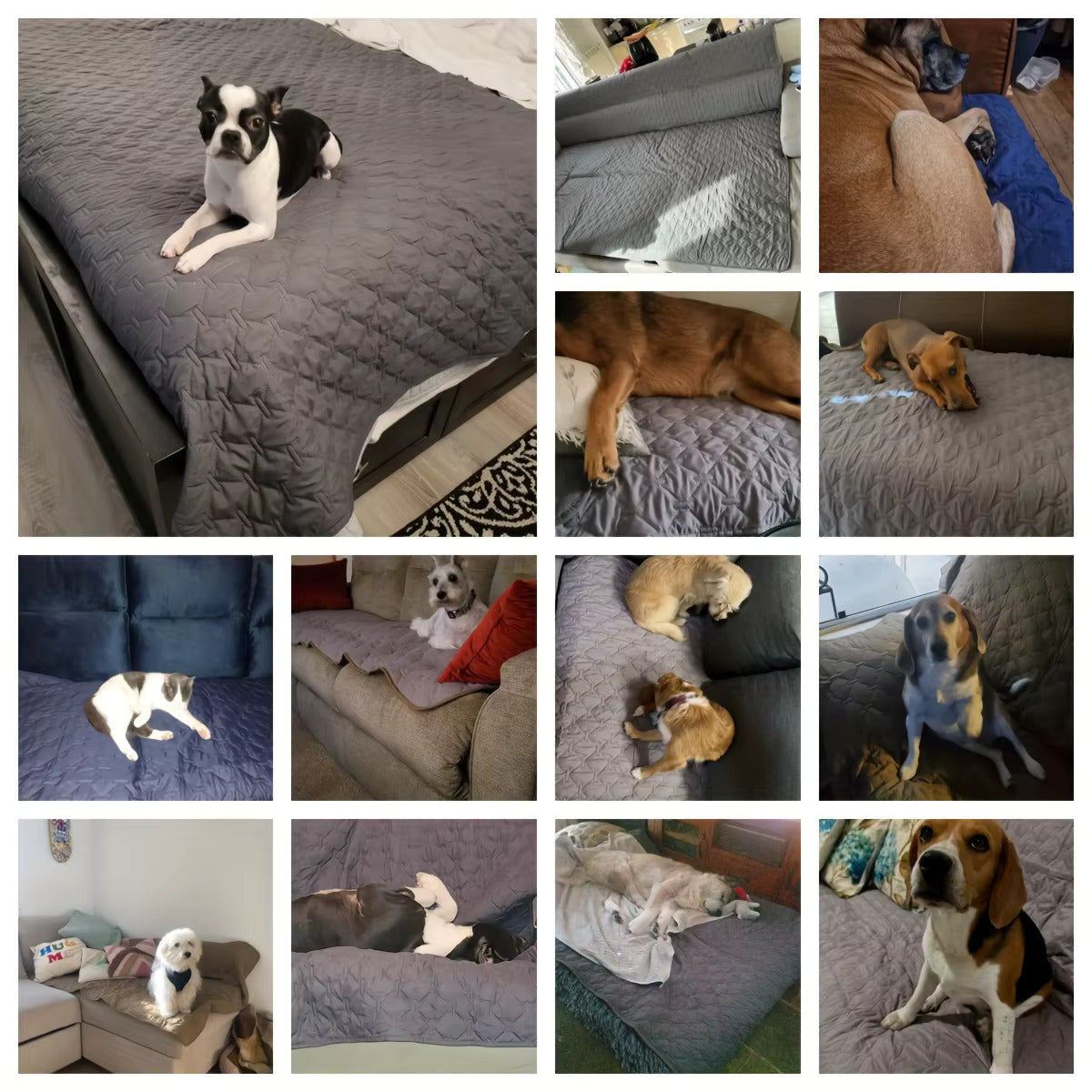 DryNest™ Hundebettbezug