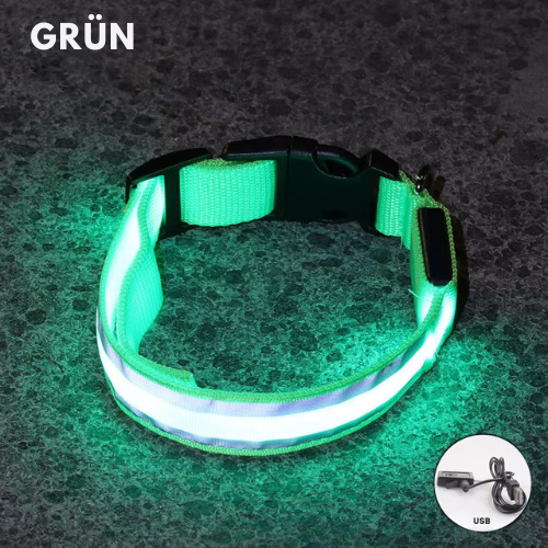 LumiDog ®