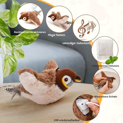PfotenVogel ®