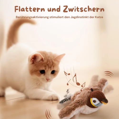 PfotenVogel ®