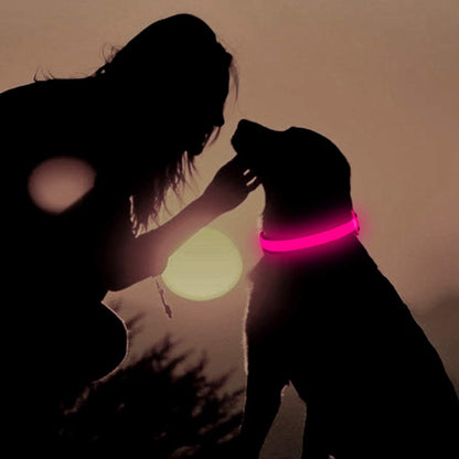 LED Light Collar for Dogs – USB Rechargeable &amp; Adjustable for Night Safety 