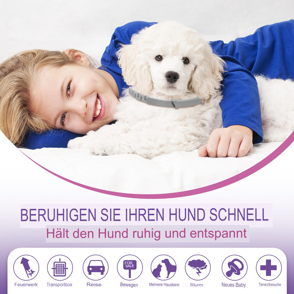 Calming Dog Collar (4-Pack) – Anxiety and Stress Relief, 60 Days Lasting 