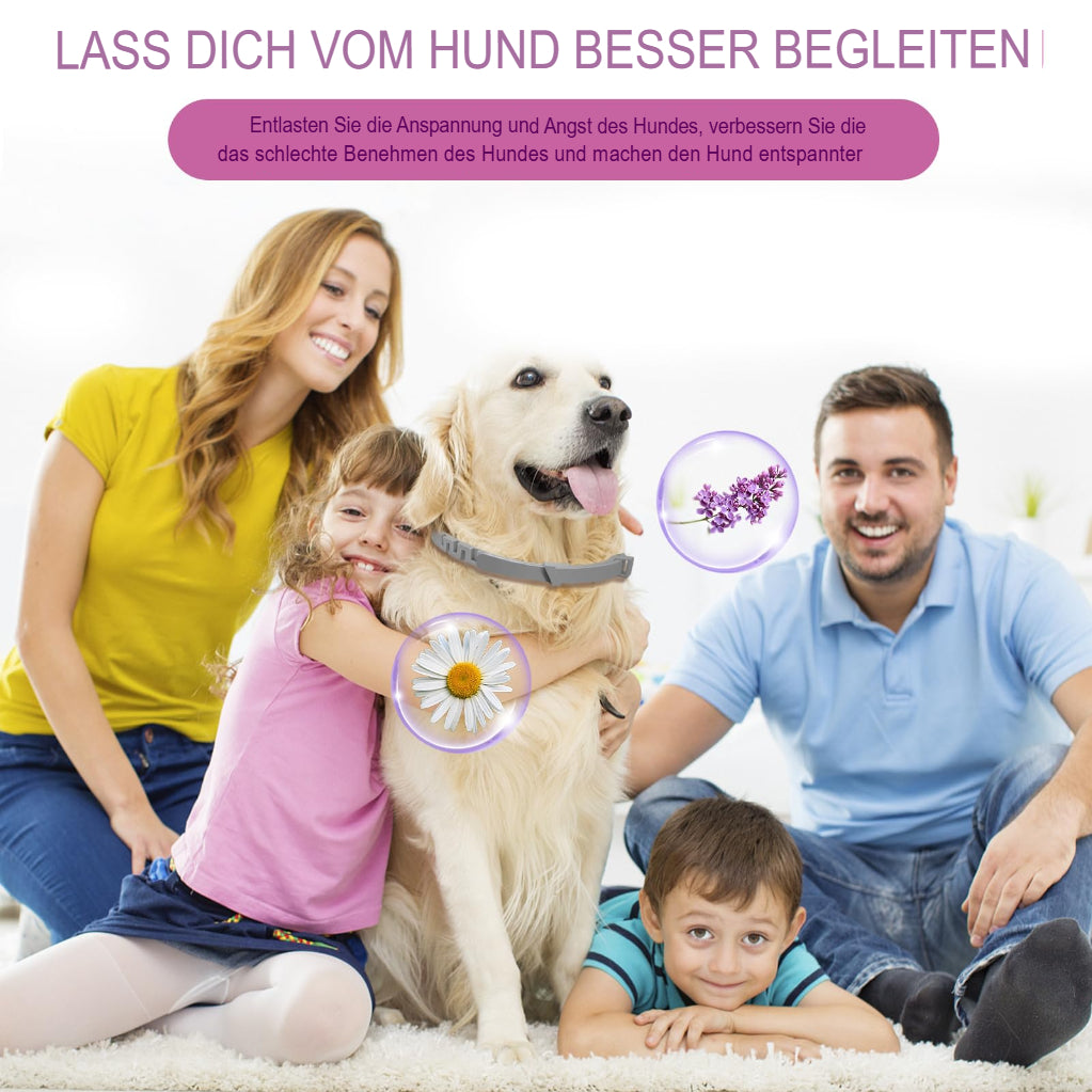 Calming Dog Collar (4-Pack) – Anxiety and Stress Relief, 60 Days Lasting 