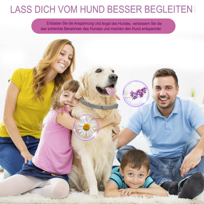 Calming Dog Collar (4-Pack) – Anxiety and Stress Relief, 60 Days Lasting 