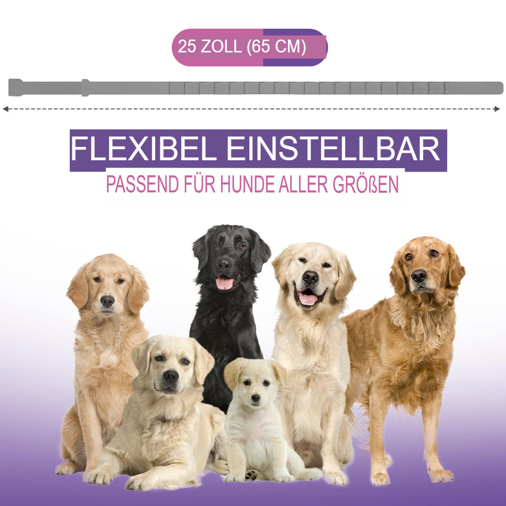Calming Dog Collar (4-Pack) – Anxiety and Stress Relief, 60 Days Lasting 