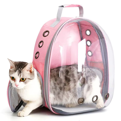 CatPack ®