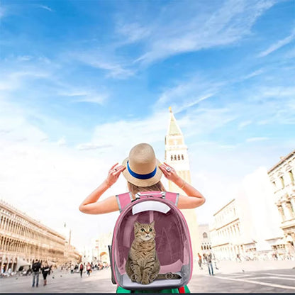 CatPack ®