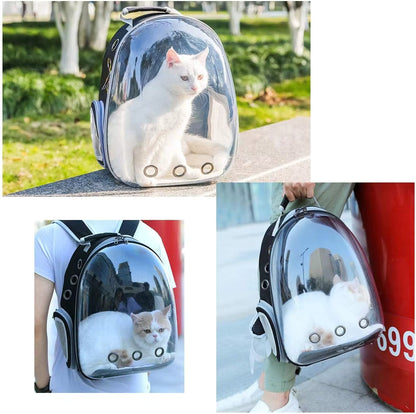 CatPack ®