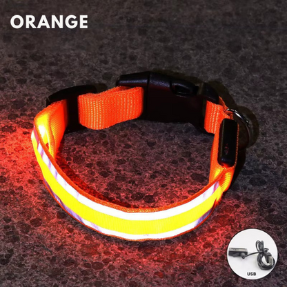 LED Light Collar for Dogs – USB Rechargeable &amp; Adjustable for Night Safety 