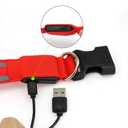 LED Light Collar for Dogs – USB Rechargeable &amp; Adjustable for Night Safety 