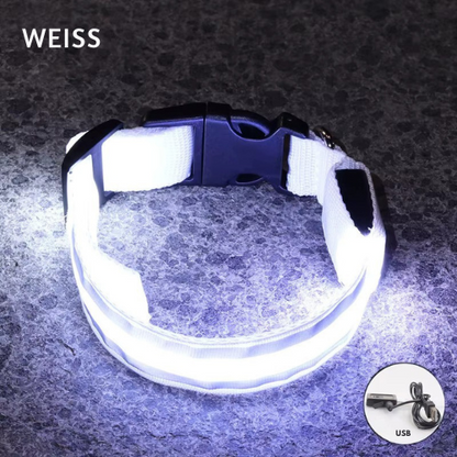 LED Light Collar for Dogs – USB Rechargeable &amp; Adjustable for Night Safety 