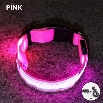 LED Light Collar for Dogs – USB Rechargeable &amp; Adjustable for Night Safety 