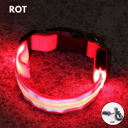 LED Light Collar for Dogs – USB Rechargeable &amp; Adjustable for Night Safety 