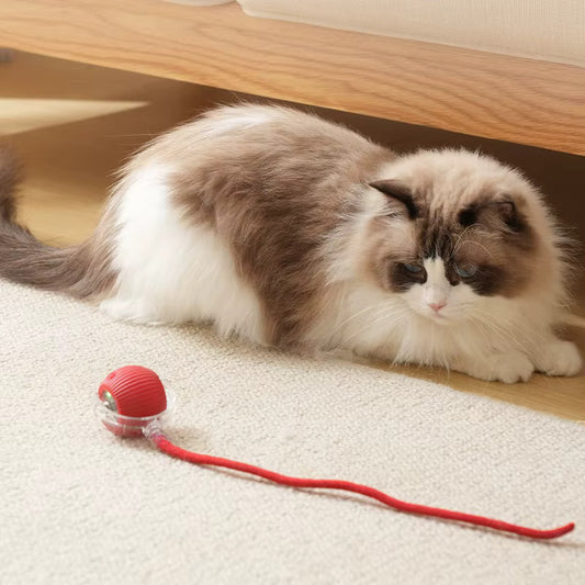 Interactive Chirping Cat Toy Ball – Fast Rolling, Motion Controlled (Blue)