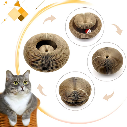 MiezRing ®