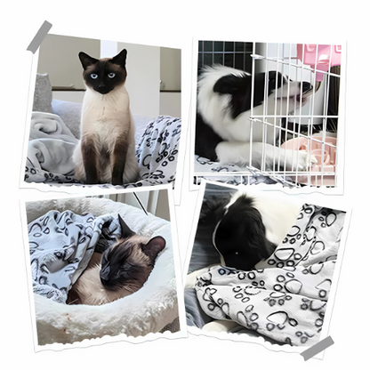 LaSyL Weighted Pet Blanket – Calming &amp; Anti-Anxiety for Dogs 