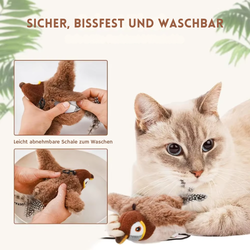 PfotenVogel ®
