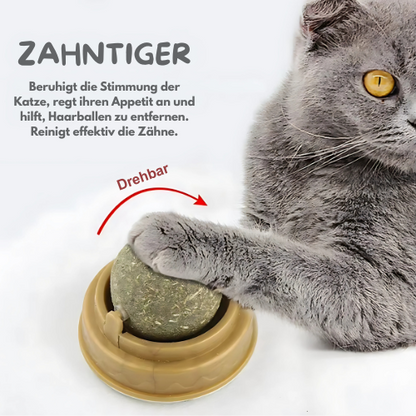 ZahnTiger ®
