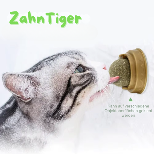 ZahnTiger ®