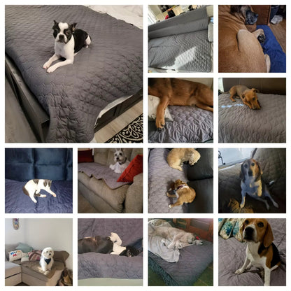 Waterproof Dog Bed Cover - Reversible Furniture Protector 