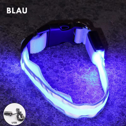 LED Light Collar for Dogs – USB Rechargeable &amp; Adjustable for Night Safety 