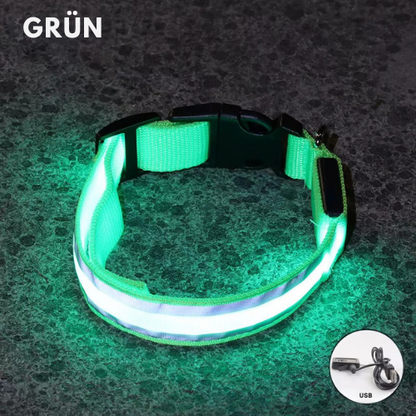 LED Light Collar for Dogs – USB Rechargeable &amp; Adjustable for Night Safety 