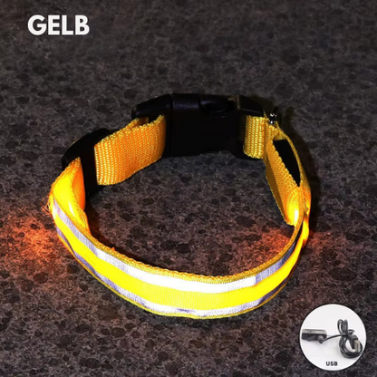 LED Light Collar for Dogs – USB Rechargeable &amp; Adjustable for Night Safety 